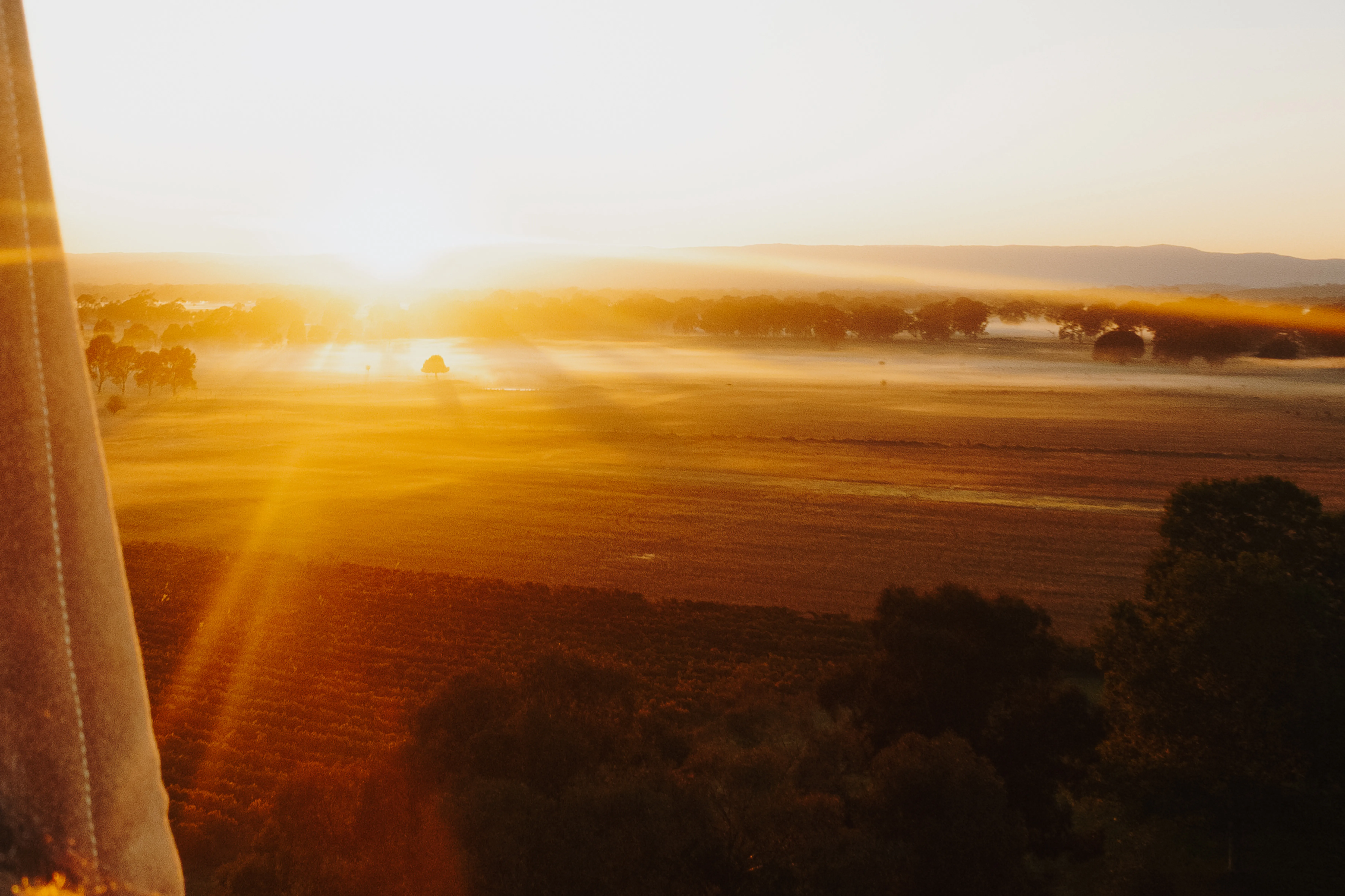 Lancemore Goldrush Ballooning Milawa