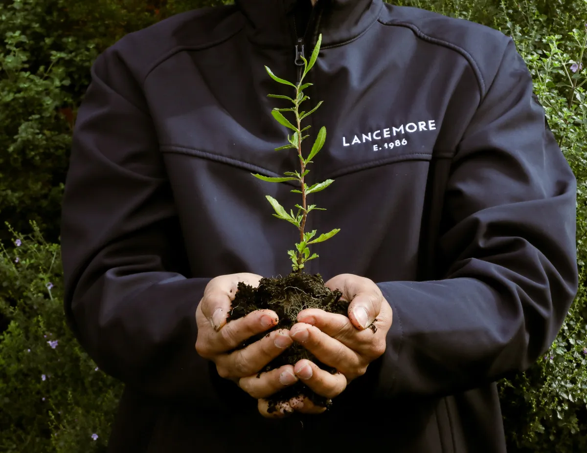 Lancemore team member holding small bushel as part of Hotels for Trees initive