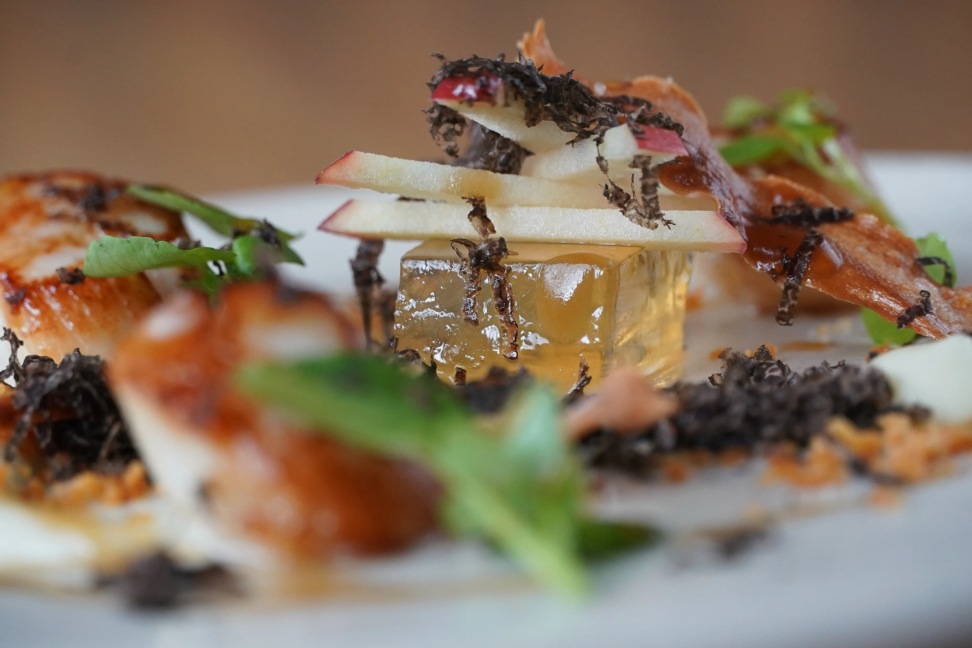 The Dining Room X Red Hill Truffles Discovery Degustation Dinner 3