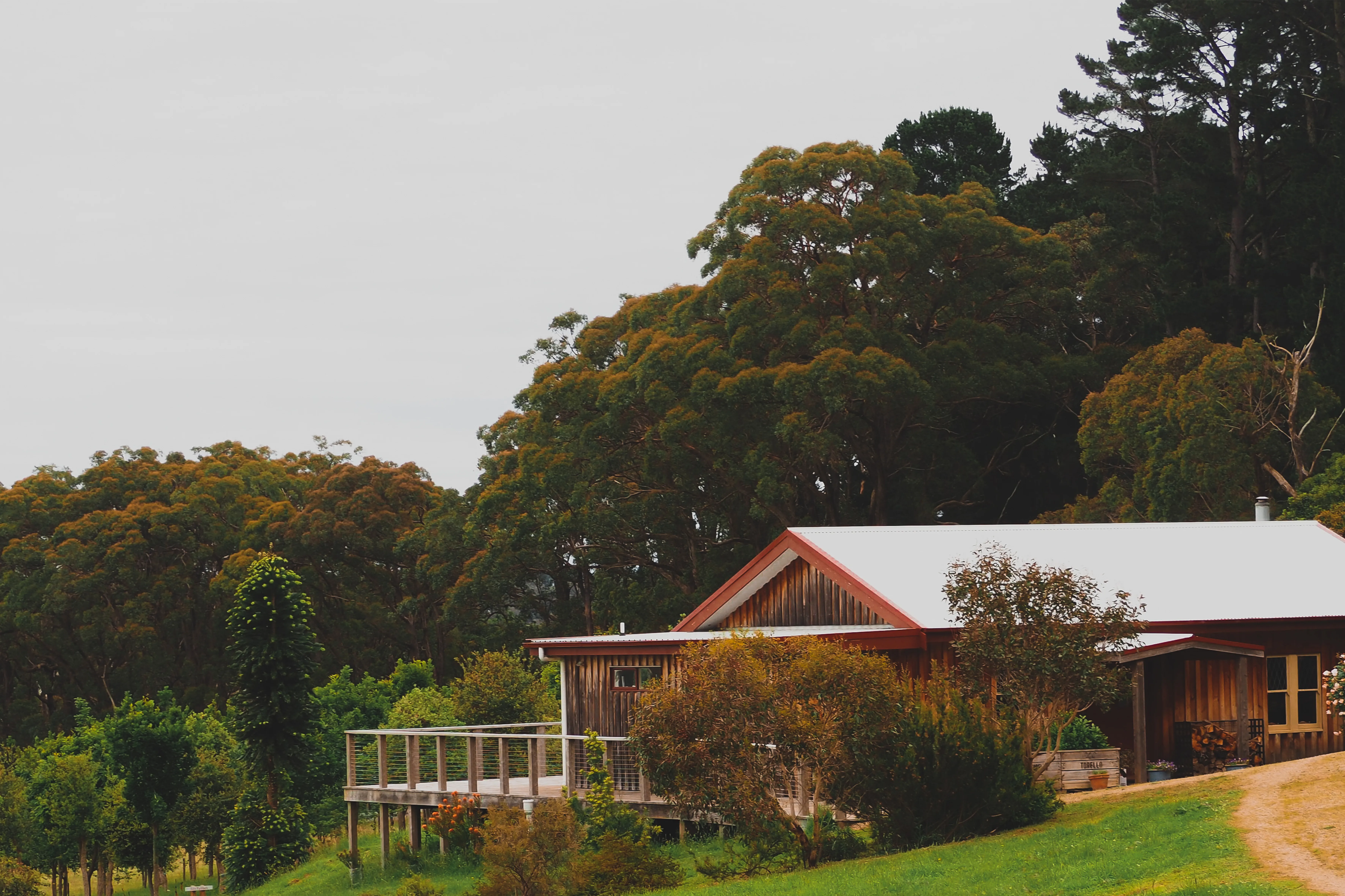 The Dining Room X Red Hill Truffles Discovery Degustation Dinner 5