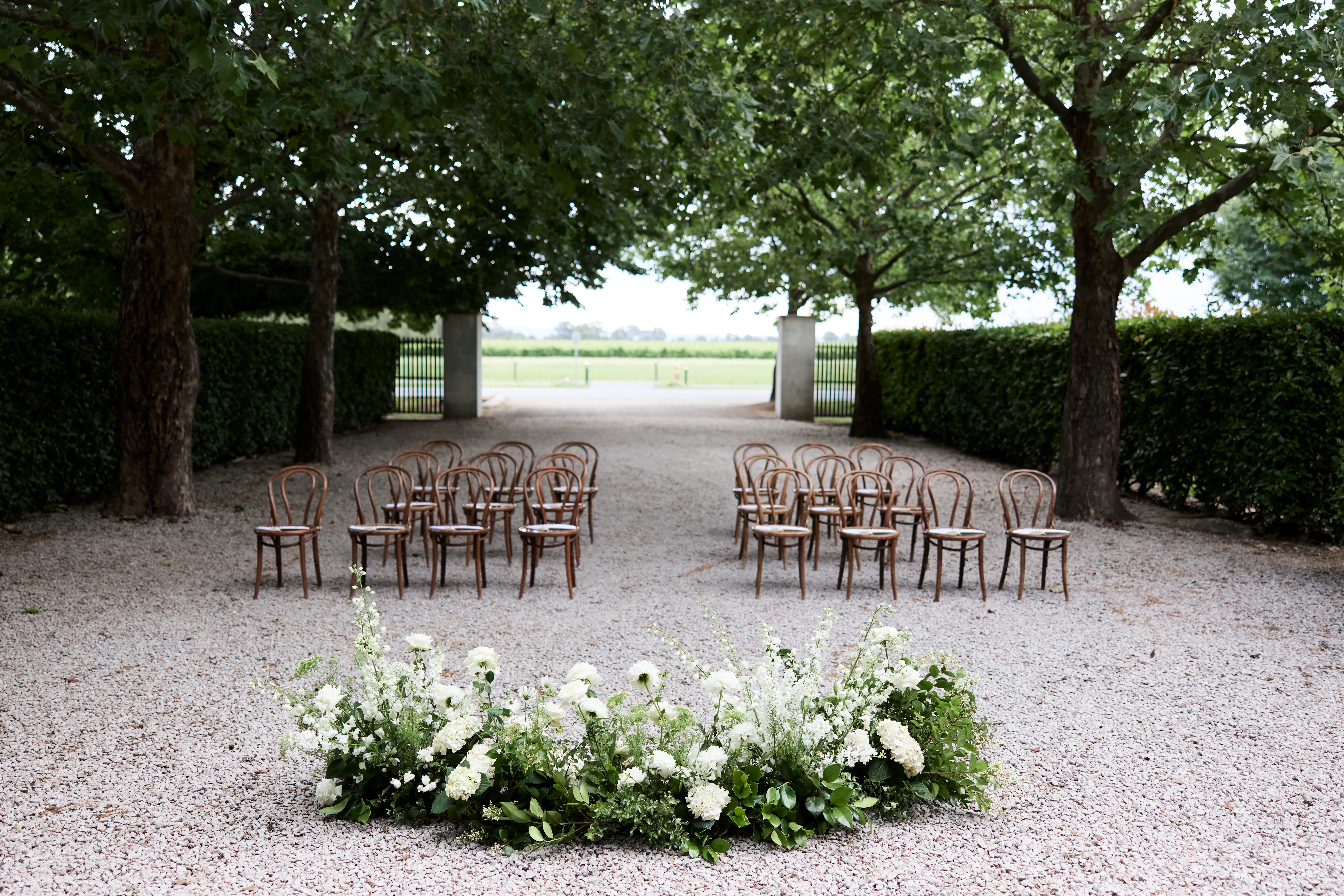 20241129 Ellen+Michael 0067