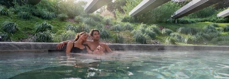 2024 SG Alba Springs hemisphere hide HR 7