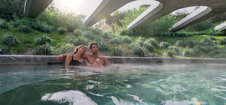 2024 SG Alba Springs hemisphere hide HR 7