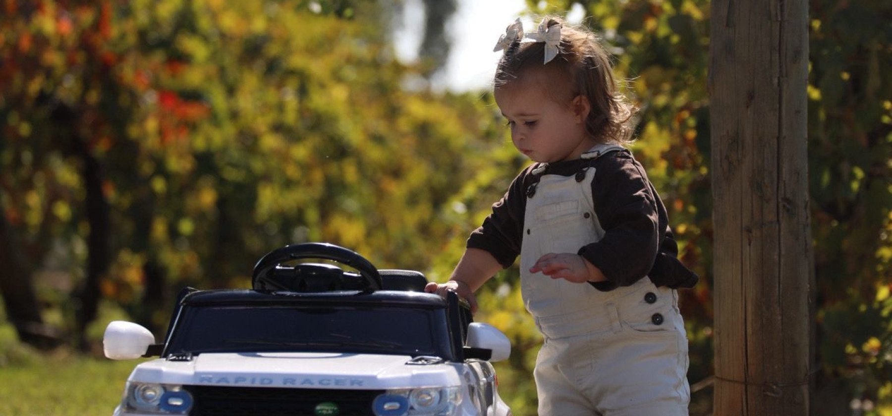 5f14c080 5944 4d71 82c7 a749274f6ace 2 1