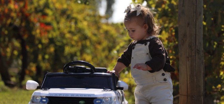 5f14c080 5944 4d71 82c7 a749274f6ace 2 1