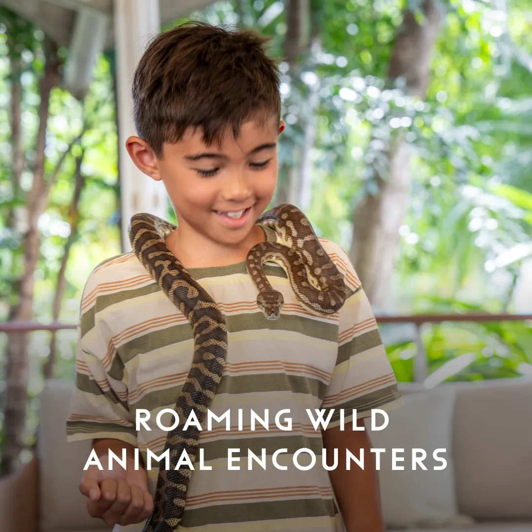 Alamanda Palm Cove Little Explorers
