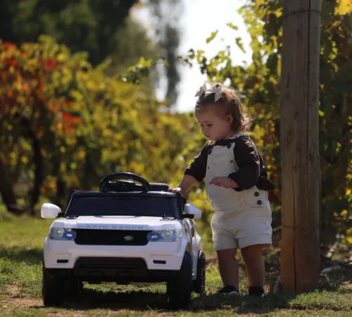 CTA Tiles Website Nav Bar 3