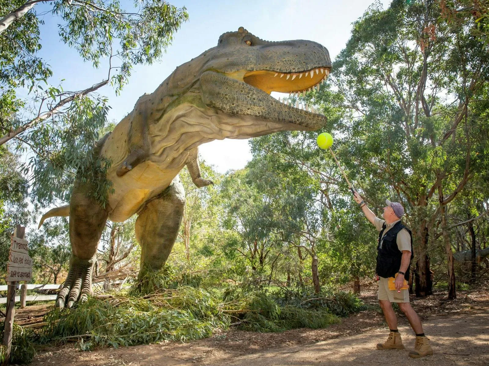 Dinos at The Zoo