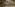 EDM GIF Festive Celebrations