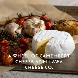 Explore King Valley Tiles 2