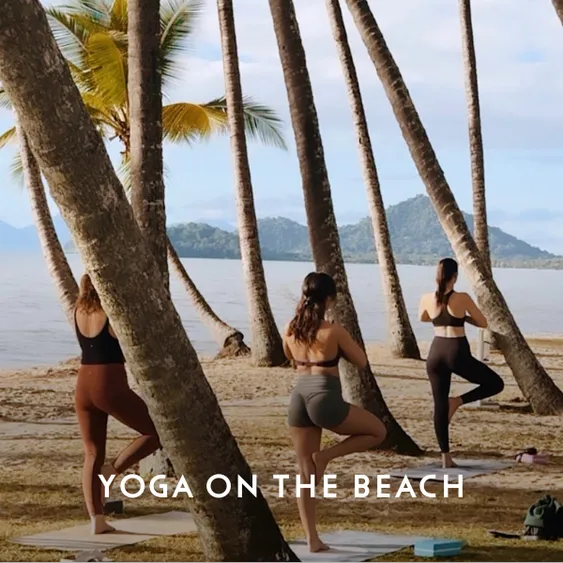 Explore Palm Cove Tiles