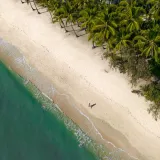 Explore Palm Cove