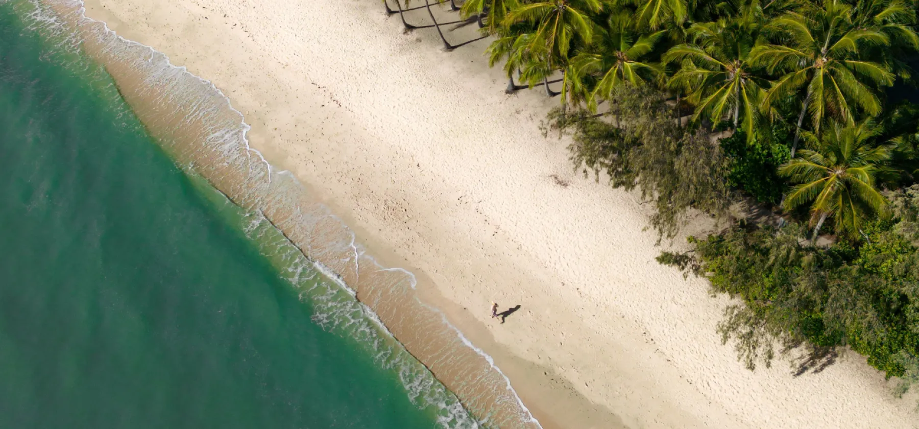 Explore Palm Cove