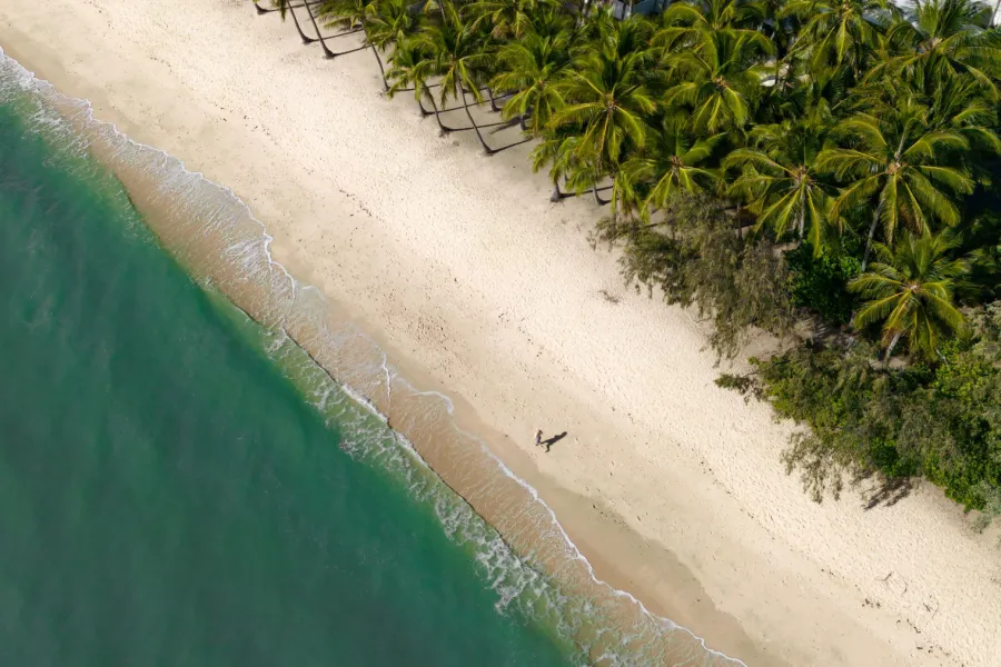 Explore Palm Cove