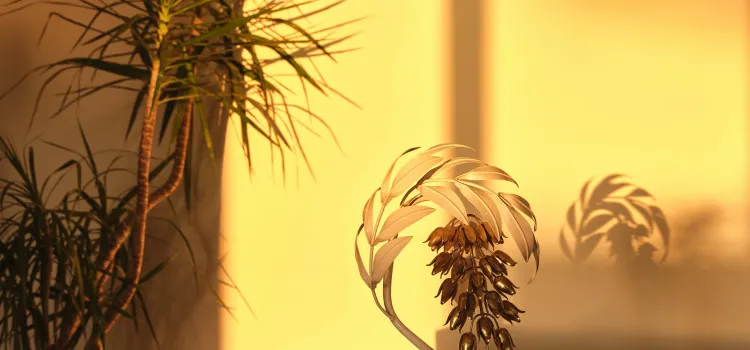 Golden light2 v5