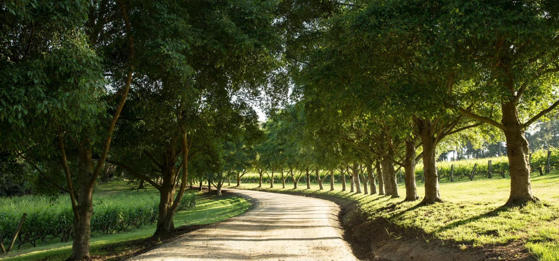 Lancemore Lindenderry Red Hill Driveway