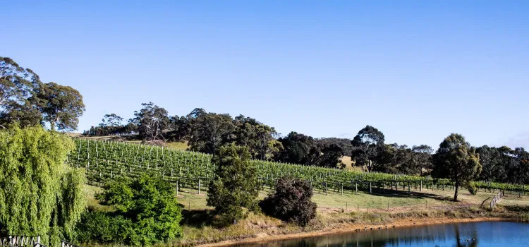 Lancemore Macedon Ranges