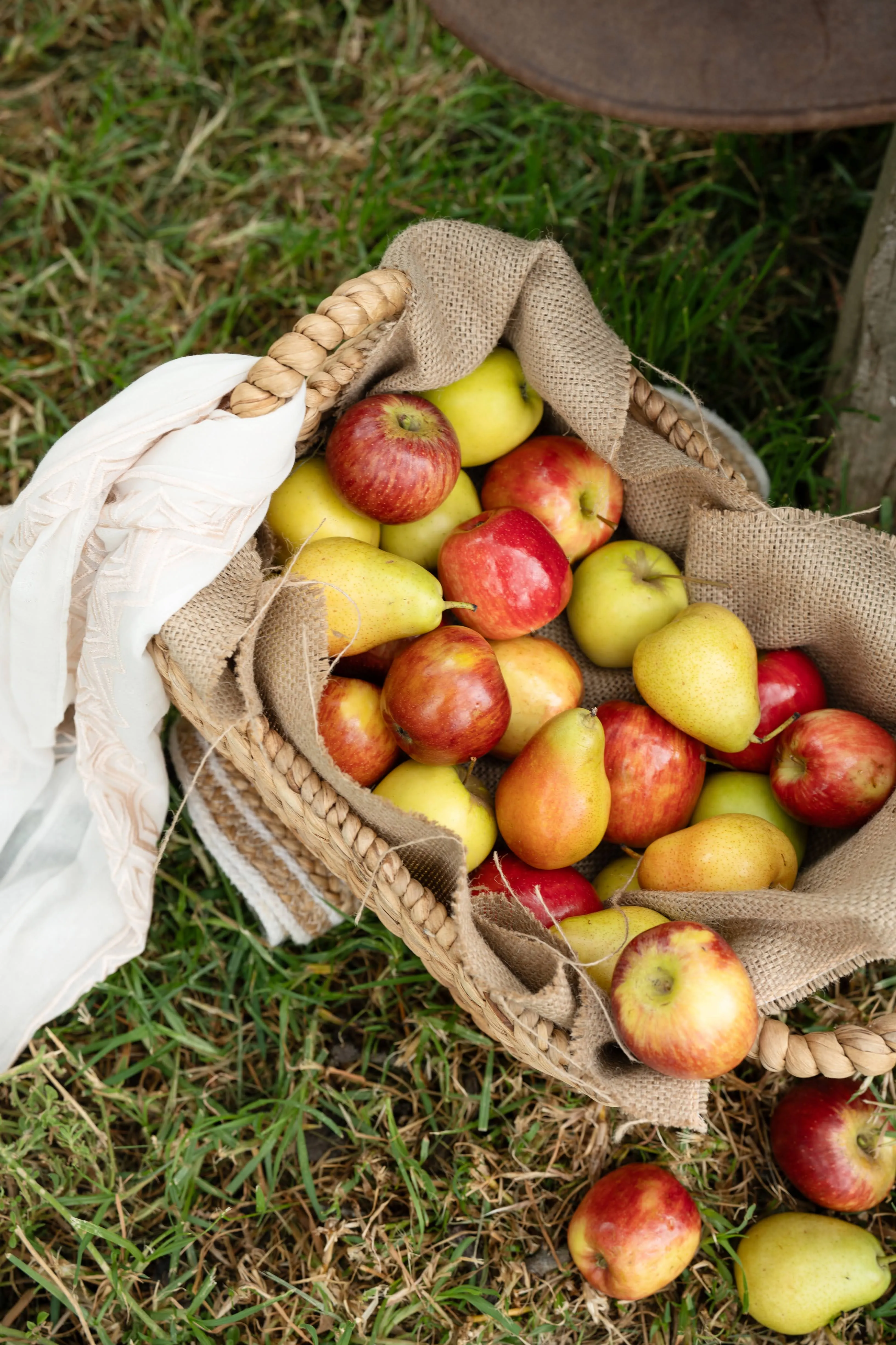LancemoreWerribeeOrchard 57