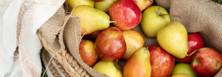 LancemoreWerribeeOrchard 57