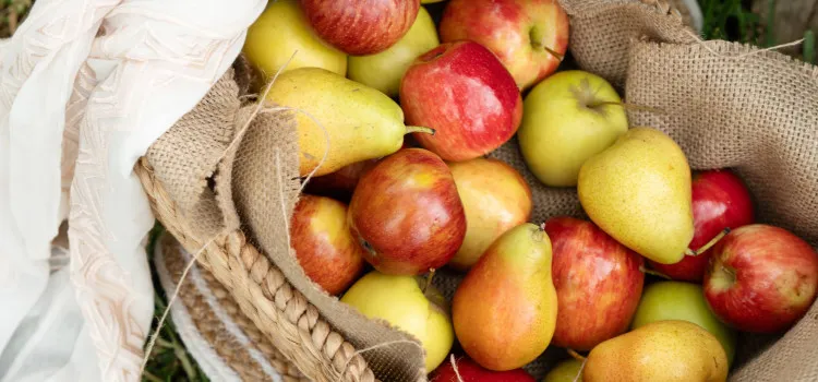 LancemoreWerribeeOrchard 57