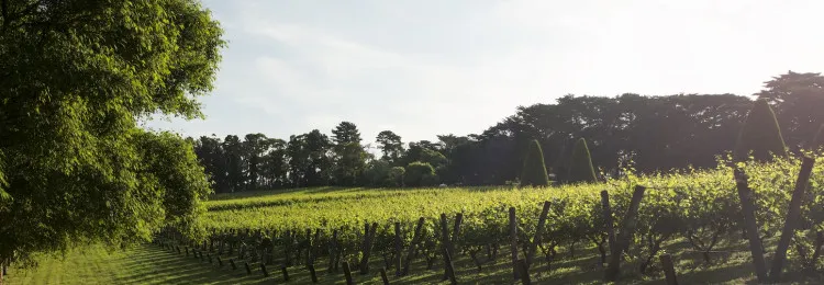 Lindenderry RhiannonTaylor160