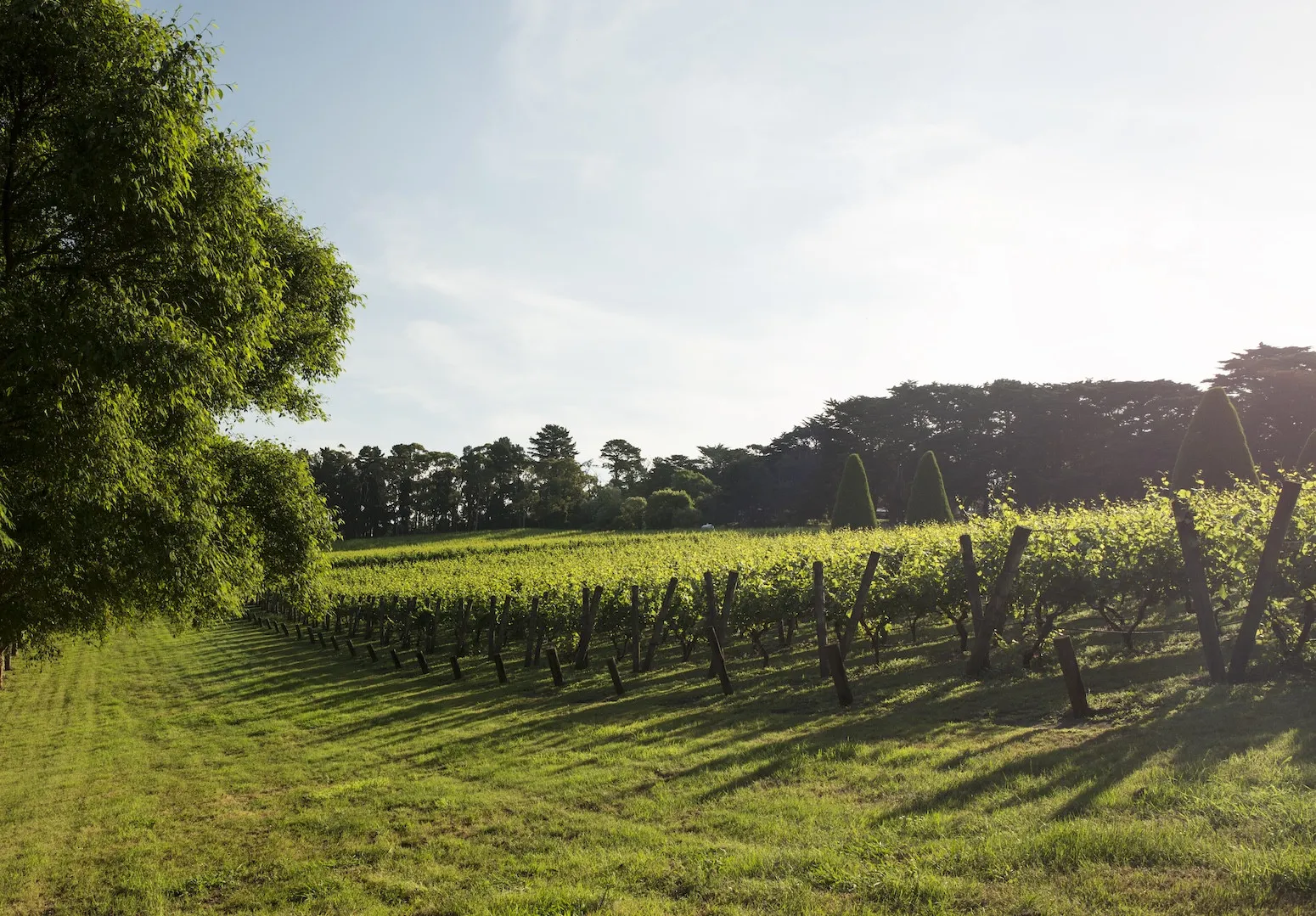 Lindenderry RhiannonTaylor160