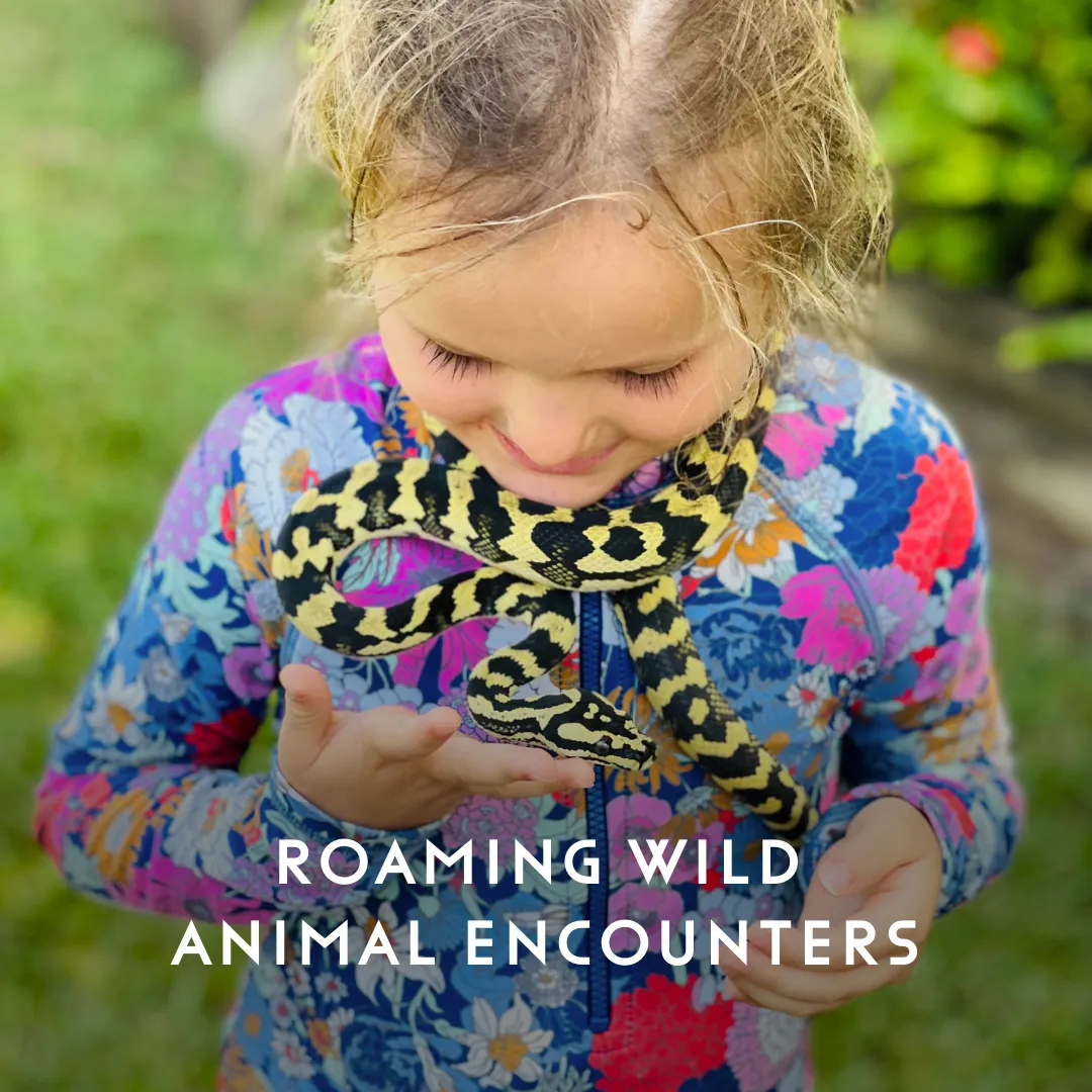 Little Explorers Itinerary LLRH 