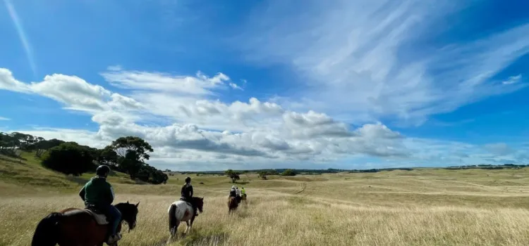 MPT Horse riding Summer