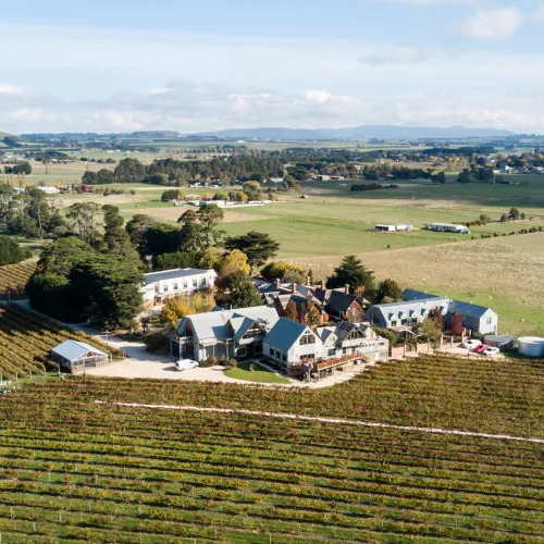 NEW Web Headers MICE