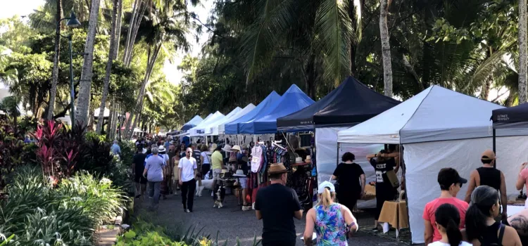 WEBSITE Whats On July 3 v3