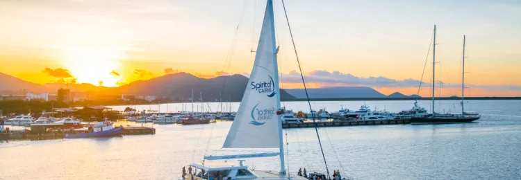 WEBSITE Whats On July 6