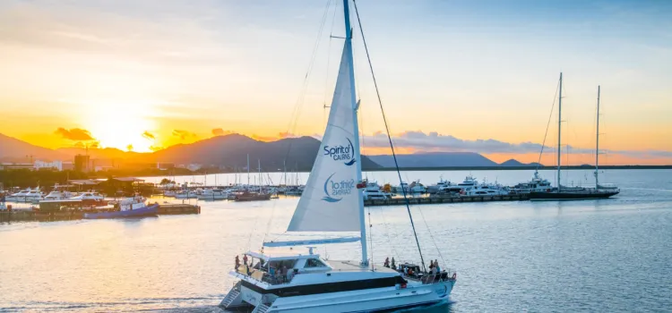 WEBSITE Whats On July 6