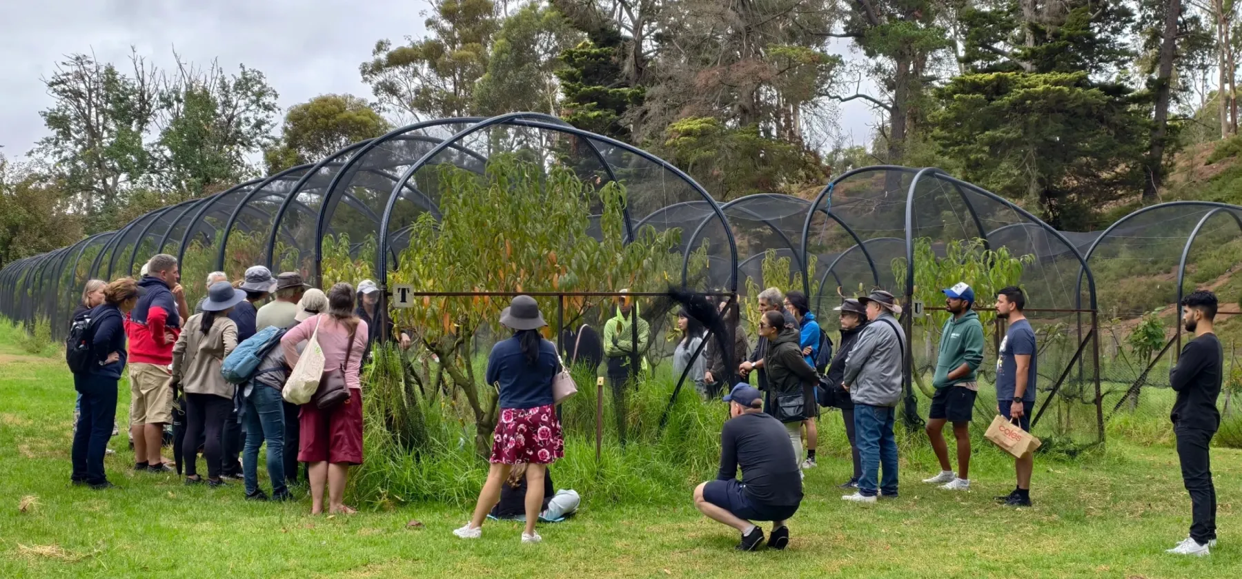 Web Images headers v4