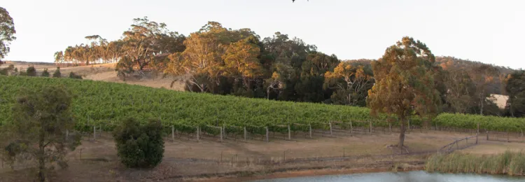 Website tile images 16