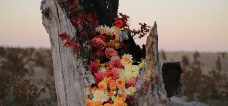 Website tile images 3 v2