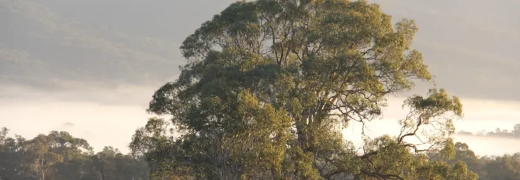 Website tile images 4