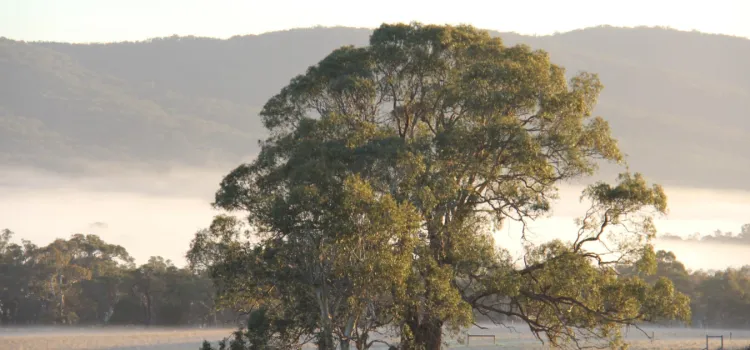 Website tile images 4