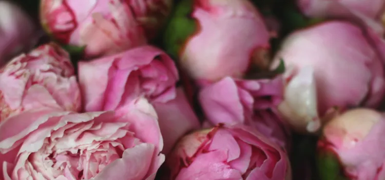 Website tile images 8 v2