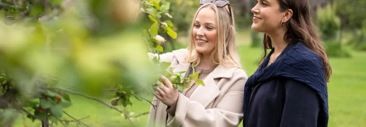 Website tile images v4