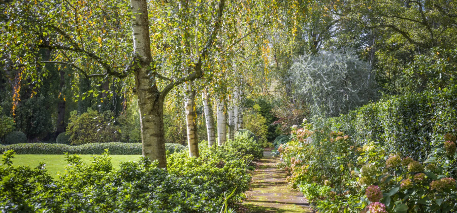 Whats On Header 4 v5