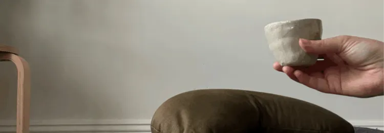 Whats on website 4 v2