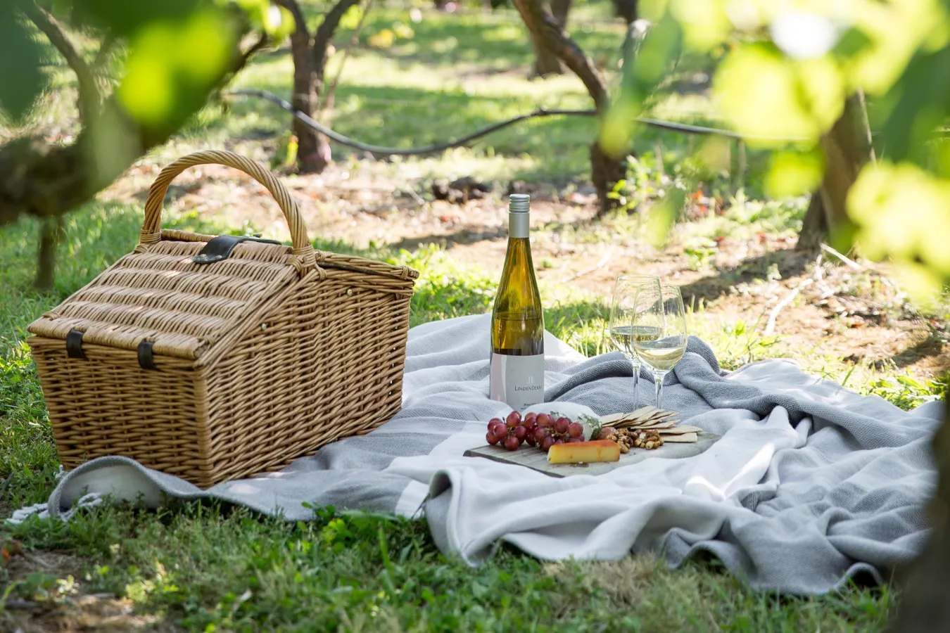 Whats on website 5 v4