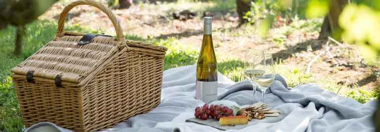 Whats on website 5 v4