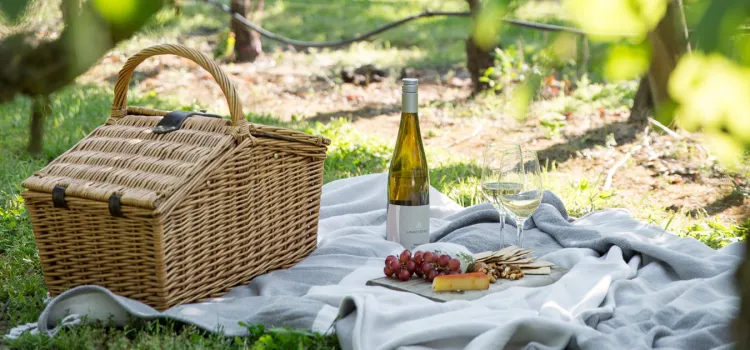 Whats on website 5 v4