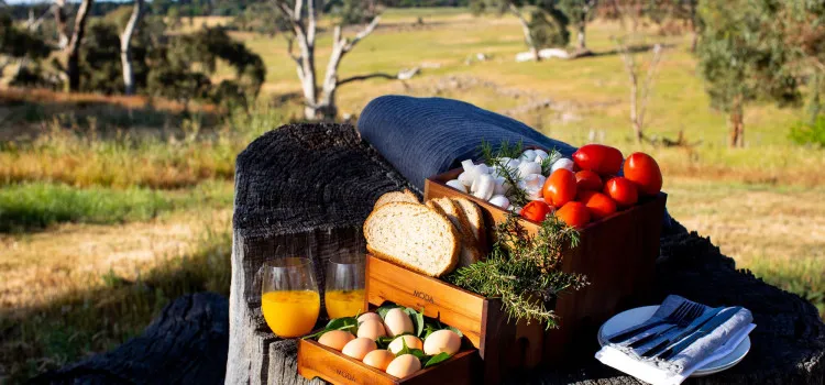 bush breakfast