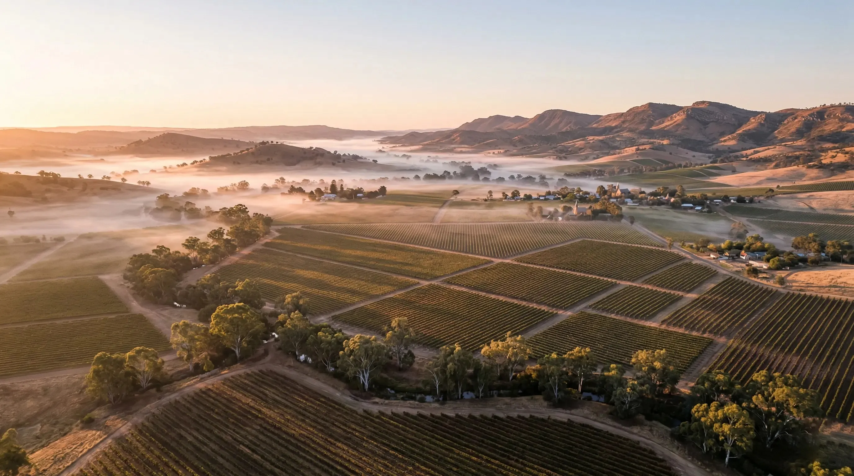 king valley vineyard