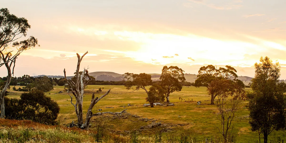 lancemore macedon ranges perfect location 1200 x 900